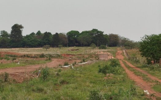 Venta – 6 hectáreas – zona by pass ruta 12 – próximo a ruta 213