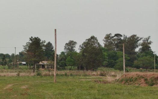 Venta – 6 hectáreas – zona by pass ruta 12 – próximo a ruta 213